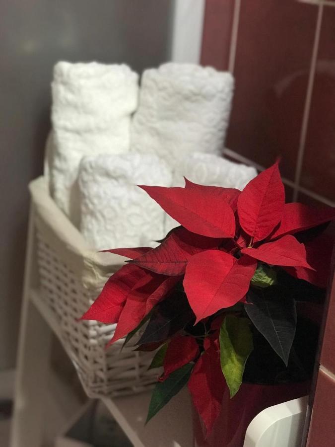 A3M Apartment Deva Eksteriør billede